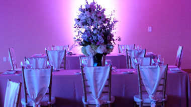 purple lit room with table setting
