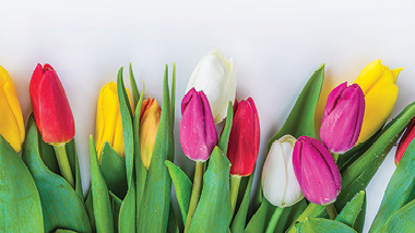 Spring Cleaning Giveaway