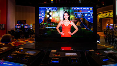 virtual Blackjack dealer