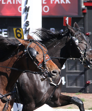 racing